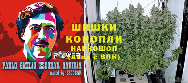 стафф Баксан