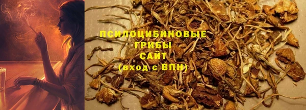 дживик Армянск