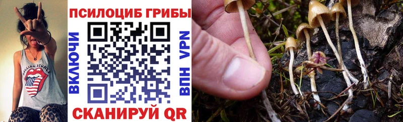 Псилоцибиновые грибы Psilocybe  hydra вход  Колпашево  купить наркоту 